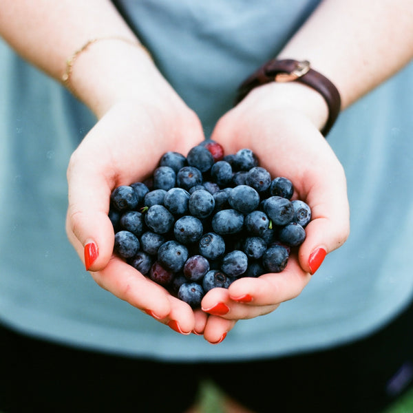 Plant-based living is a healthy lifestyle choice